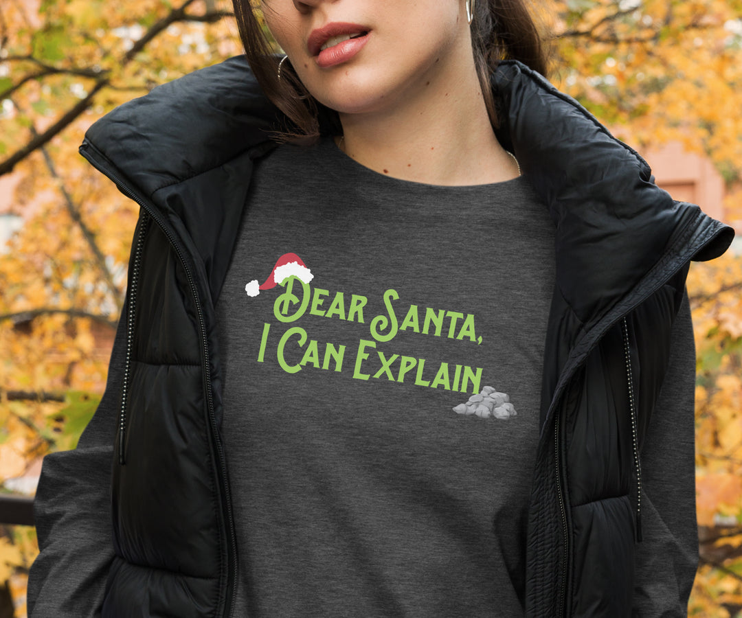 Dear Santa Long Sleeve Shirt
